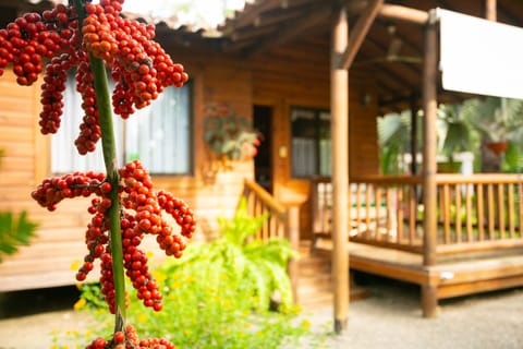Deluxe Cabin, Terrace, Garden Area | Terrace/patio