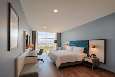Premium bedding, down comforters, in-room safe, desk