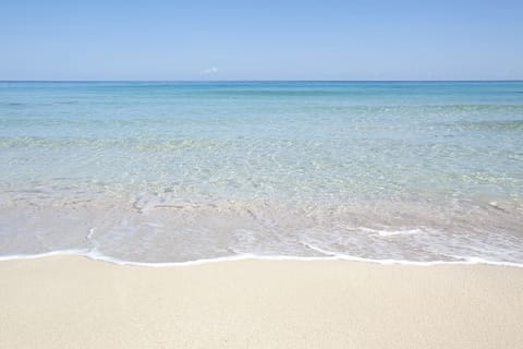 Beach shuttle