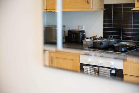 Deluxe Apartment, Private Bathroom, City View | Private kitchen