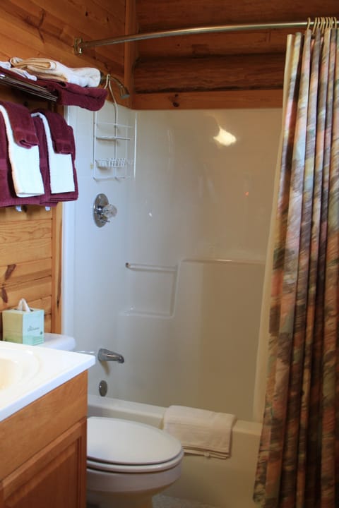 Combined shower/tub, free toiletries, hair dryer, towels