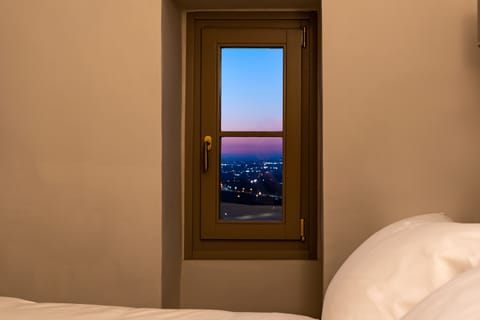 Executive Suite | View from room