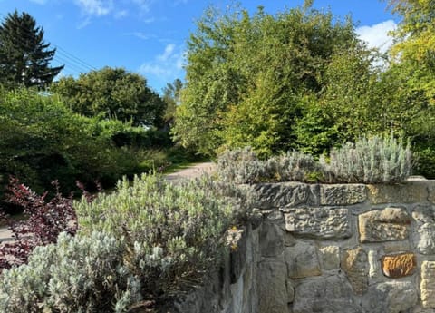 House | View from property