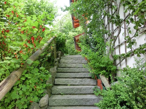 Apartment | Garden