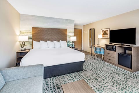 Suite, Multiple Beds, Non Smoking | Desk, blackout drapes, iron/ironing board, rollaway beds