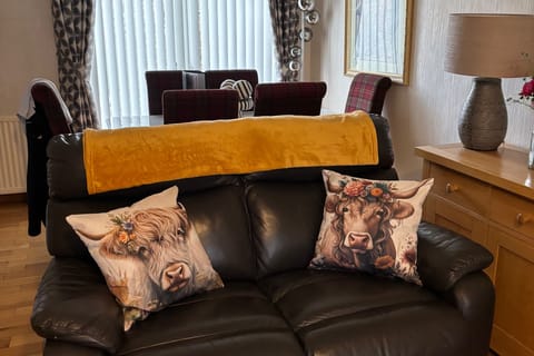 House | Living area | Fireplace