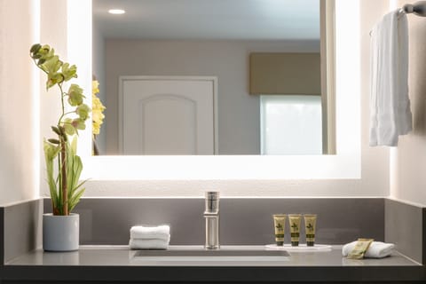 Combined shower/tub, free toiletries, hair dryer, towels