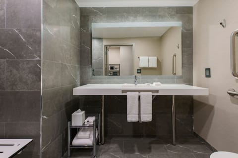 Room, 1 King Bed with Sofa bed | Bathroom | Rainfall showerhead, free toiletries, hair dryer, towels