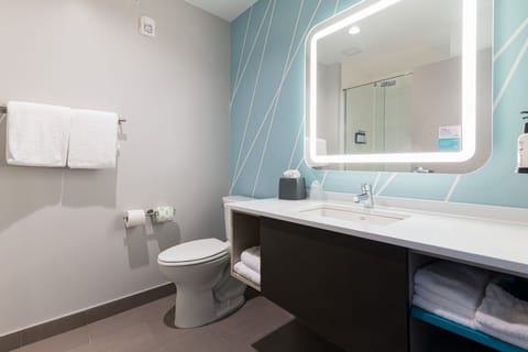 Standard Room, 1 King Bed, Roll-in Shower (Communications Accessible) | Bathroom | Designer toiletries, hair dryer, towels, soap