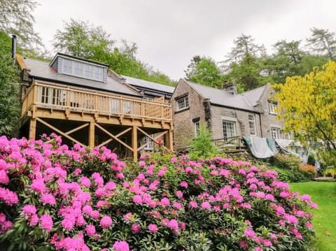 Cottage | Front of property