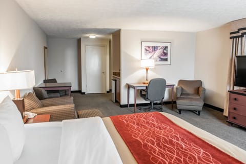 Room, 1 King Bed, Non Smoking | Desk, iron/ironing board, rollaway beds, free WiFi