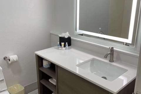 Room, 1 King Bed, Non Smoking | Desk, iron/ironing board, rollaway beds, free WiFi