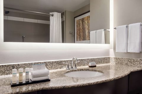 Combined shower/tub, free toiletries, hair dryer, towels