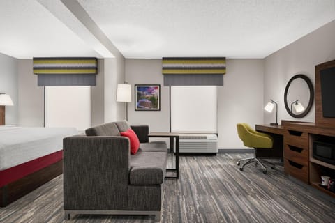 Deluxe, One King Bed, Non-Smoking | Living area | 25-inch TV with cable channels