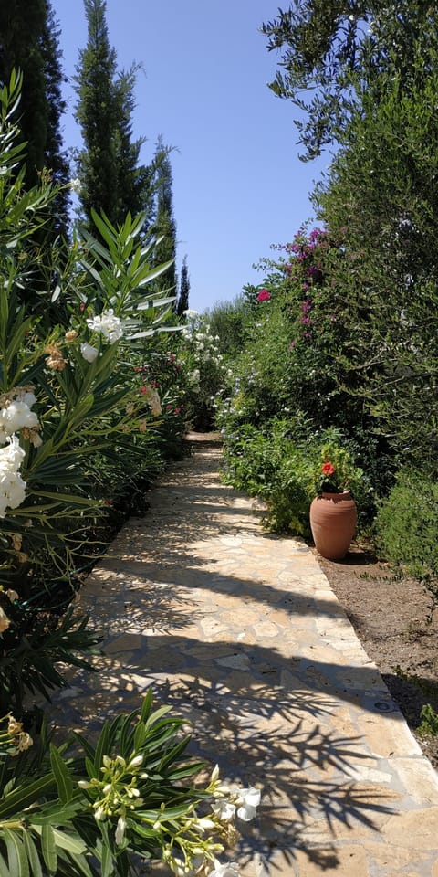 House, 6 Bedrooms, Smoking, Balcony | Garden