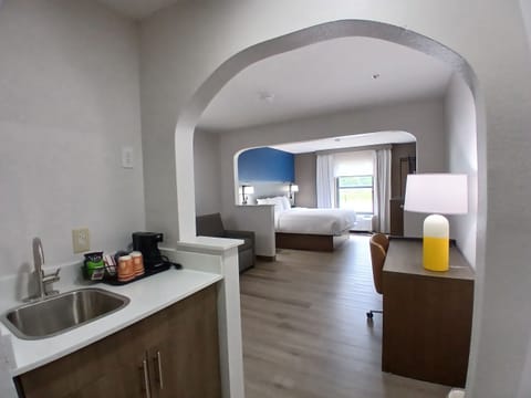 Executive Suite, 1 King Bed with Sofa Bed, Ground Floor | Premium bedding, pillowtop beds, desk, laptop workspace