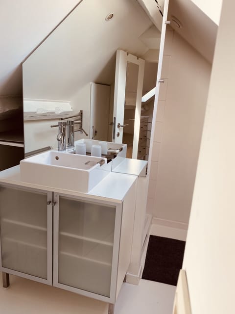 Classic Apartment, 1 Double Bed with Sofa bed | Bathroom | Shower, hair dryer, soap, shampoo