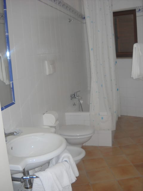 Hydromassage showerhead, free toiletries, hair dryer, bidet