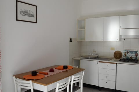 Fridge, stovetop, cookware/dishes/utensils