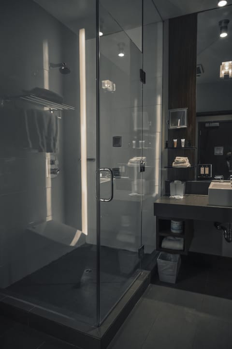 Shower, rainfall showerhead, designer toiletries, hair dryer