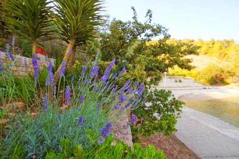 House (One Bedroom Holiday Home) | Terrace/patio