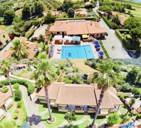 Seasonal outdoor pool, pool umbrellas, sun loungers