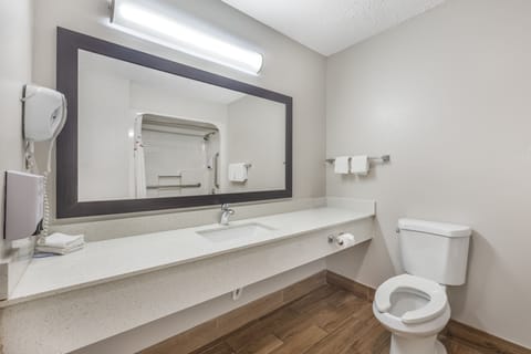 Deluxe Room, 1 King Bed, Accessible, Smoke Free | Bathroom | Combined shower/tub, free toiletries, hair dryer, towels