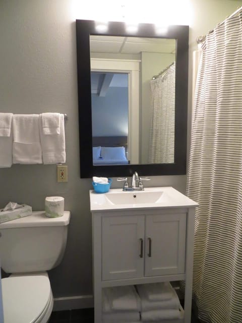 Combined shower/tub, free toiletries, hair dryer, towels