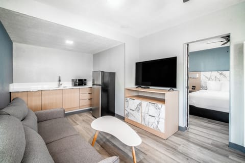 Deluxe Room, 1 King Bed with Sofa bed | Living area | 50-inch flat-screen TV with cable channels