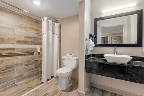 Superior Room, 1 King Bed, Roll-in Shower, Non Smoking | Accessible bathroom