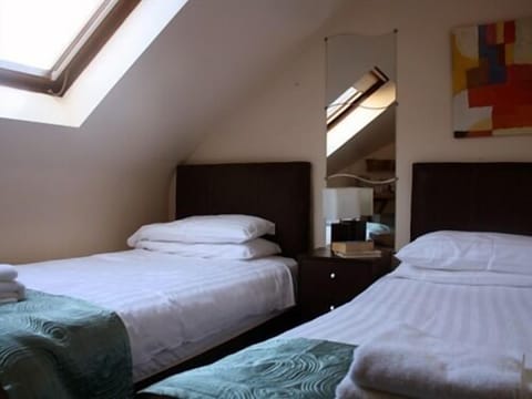 Superior Twin Room, Ensuite