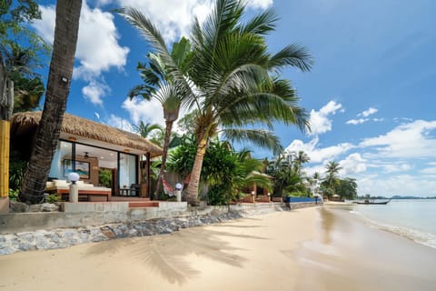 Premier Room, Sea View, Beachfront | View from room