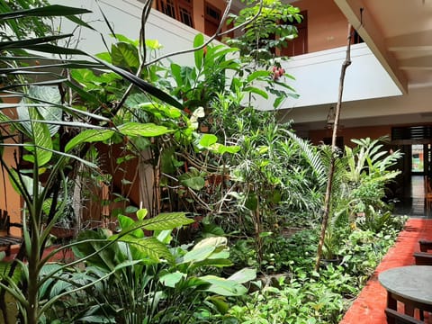Deluxe Double or Twin Room, 1 Double or 2 Twin Beds, Non Smoking (AC) | Terrace/patio