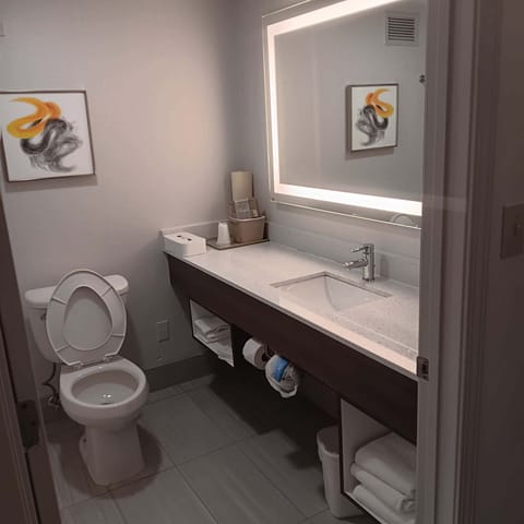 Free toiletries, hair dryer, towels