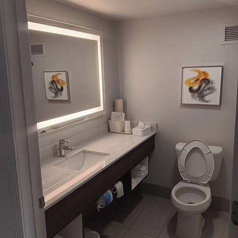 Standard Room, 1 King Bed, Non Smoking | Bathroom | Free toiletries, hair dryer, towels