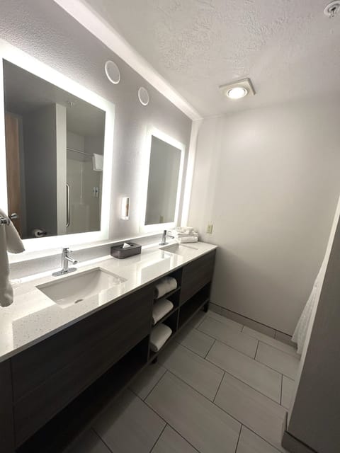 Executive Suite, 1 King Bed, Non Smoking (Spa) | Bathroom | Free toiletries, hair dryer, towels, soap