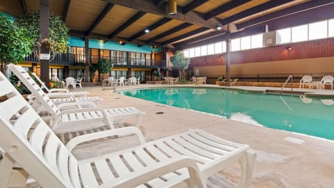 Indoor pool, sun loungers