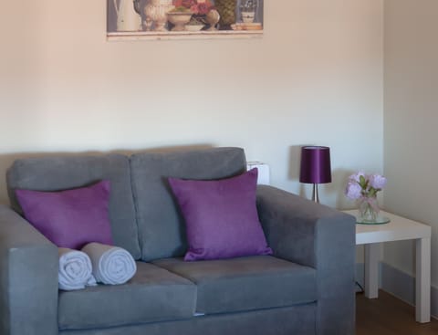 City Studio | Living area | Flat-screen TV