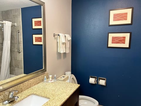 Suite, 1 King Bed with Sofa bed, Accessible, Non Smoking | Bathroom | Hair dryer, towels, soap, shampoo