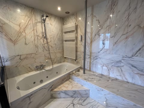 Suite | Bathroom | Free toiletries, hair dryer, towels