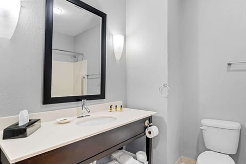 Suite, 1 King Bed, Non Smoking, Refrigerator & Microwave (with Sofabed) | Bathroom | Free toiletries, hair dryer, towels