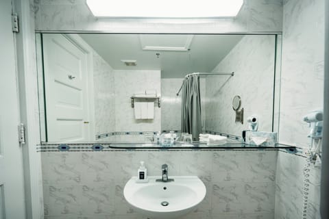 Junior Suite, City View | Bathroom | Combined shower/tub, deep soaking tub, eco-friendly toiletries