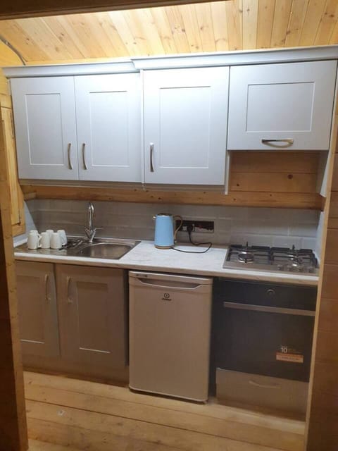 Cabin | Private kitchen | Fridge, microwave, oven, stovetop