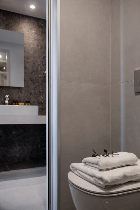 Family Quadruple Room | Bathroom | Shower, rainfall showerhead, free toiletries, hair dryer