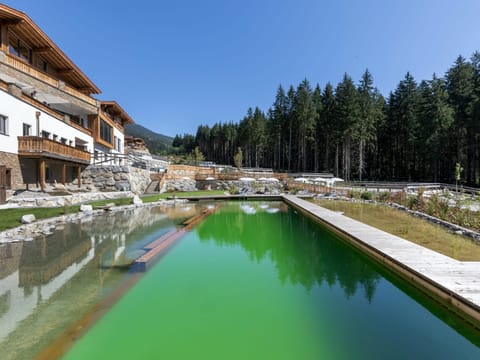 House | Pool | Outdoor pool