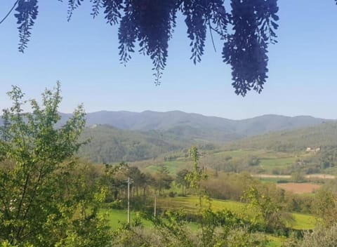 House | View from property