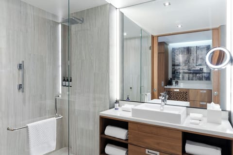 Shower, rainfall showerhead, free toiletries, hair dryer