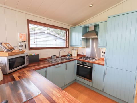 Fridge, dishwasher, cookware/dishes/utensils