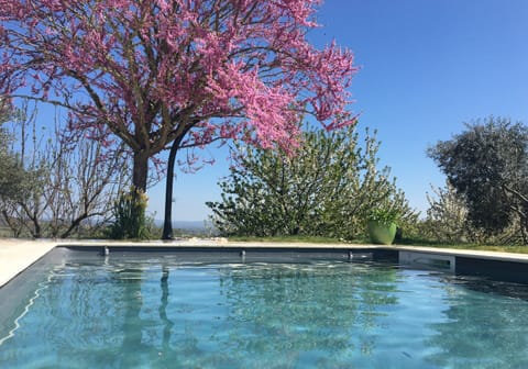 Outdoor pool, a heated pool, sun loungers