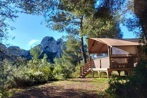 Premium Tent | Terrace/patio